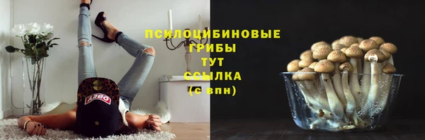 прущий лед Володарск