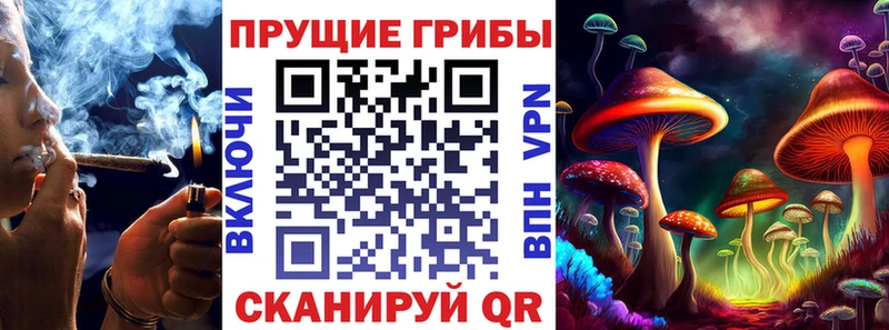 Купить  Цивильск  Псилоцибиновые грибы Psilocybine cubensis 